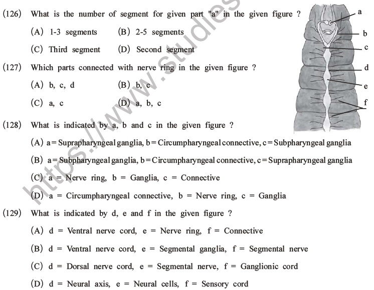 NEET Biology Animal Morphology And Anatomy MCQs Set A, Multiple Choice ...